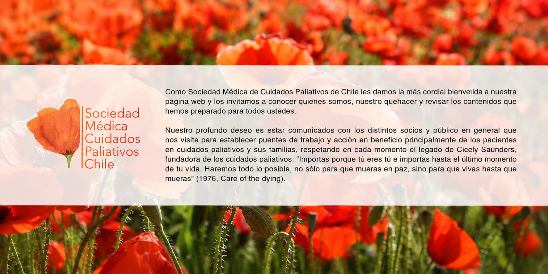 Banner secundario