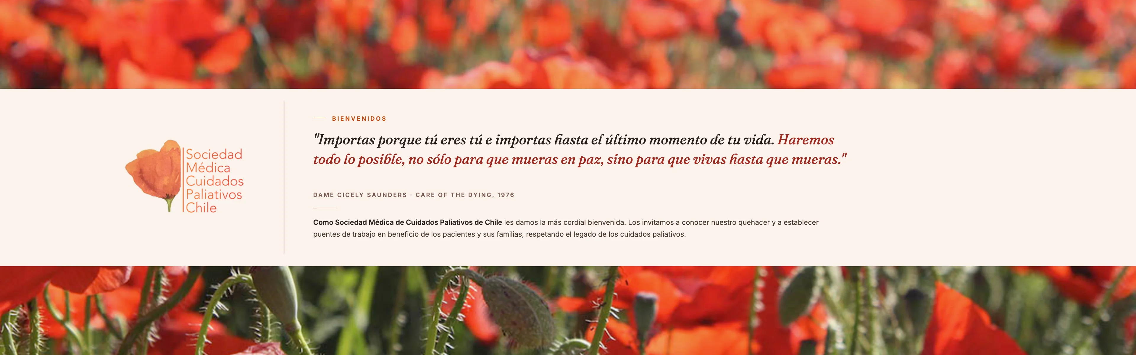 Banner secundario